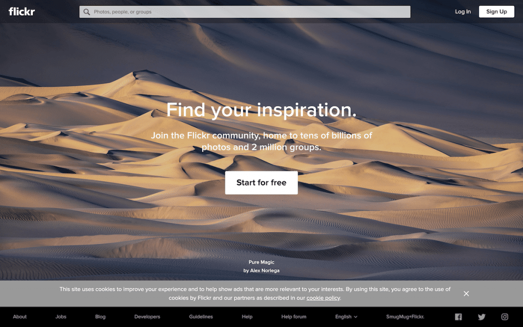 flickr homepage